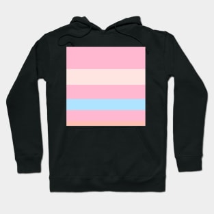 A singular collection of Fresh Air, Soft Blue, Little Girl Pink, Very Light Pink and Melon stripes. Hoodie